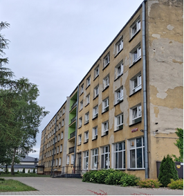 grafika